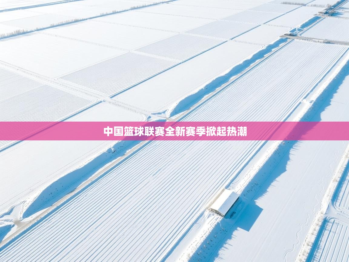 中国篮球联赛全新赛季掀起热潮  第1张