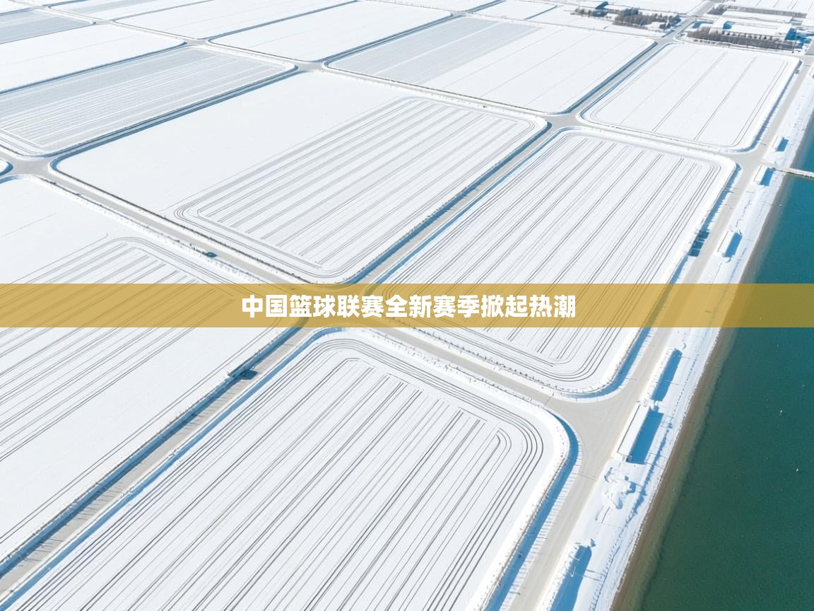 中国篮球联赛全新赛季掀起热潮  第2张