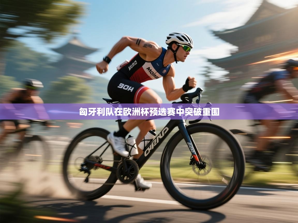 匈牙利队在欧洲杯预选赛中突破重围  第2张