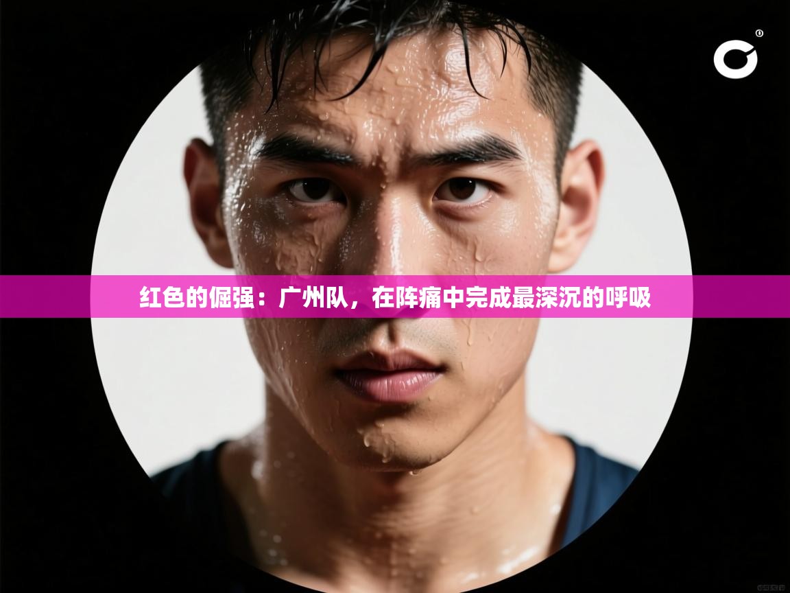 红色的倔强：广州队，在阵痛中完成最深沉的呼吸  第1张