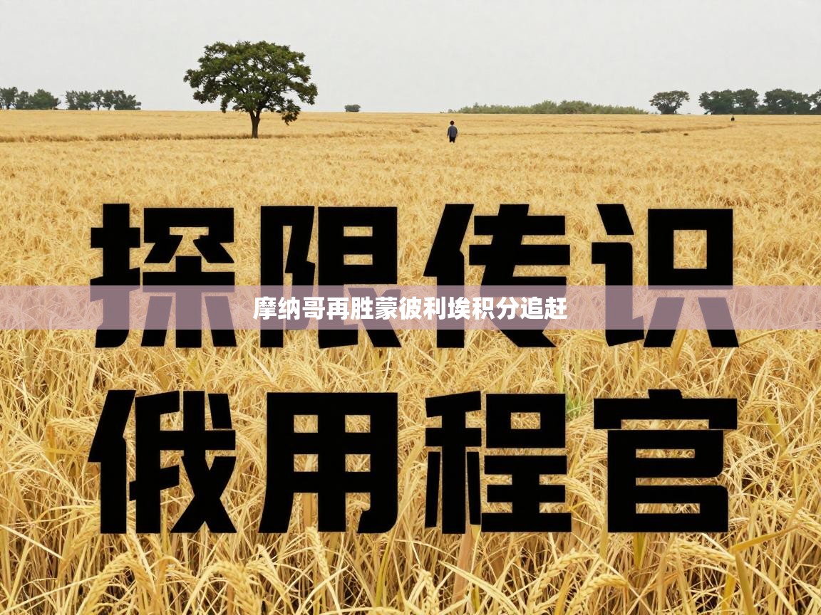 摩纳哥再胜蒙彼利埃积分追赶  第1张