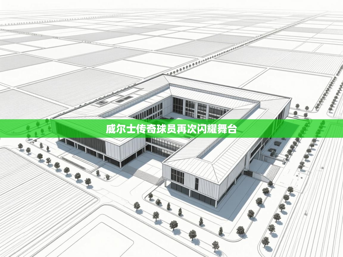 威尔士传奇球员再次闪耀舞台 第1张