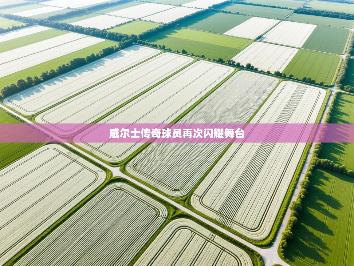 威尔士传奇球员再次闪耀舞台 第2张