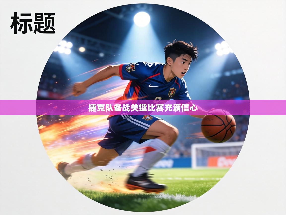 捷克队备战关键比赛充满信心  第1张