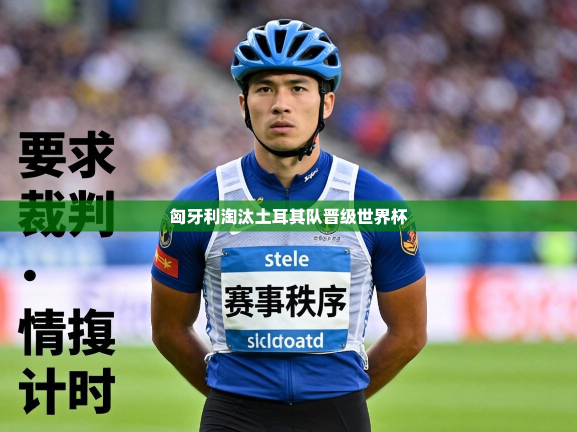 匈牙利淘汰土耳其队晋级世界杯  第1张